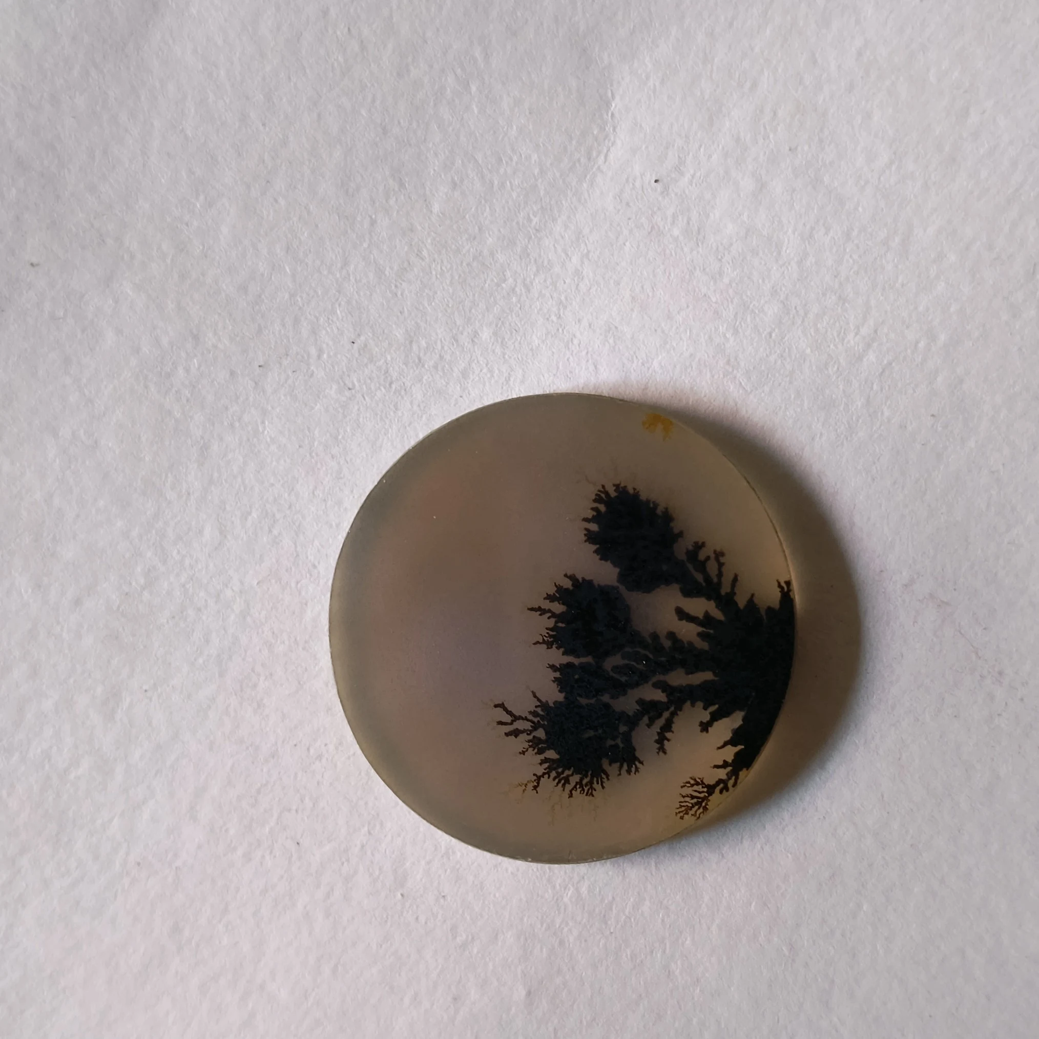 Product 15